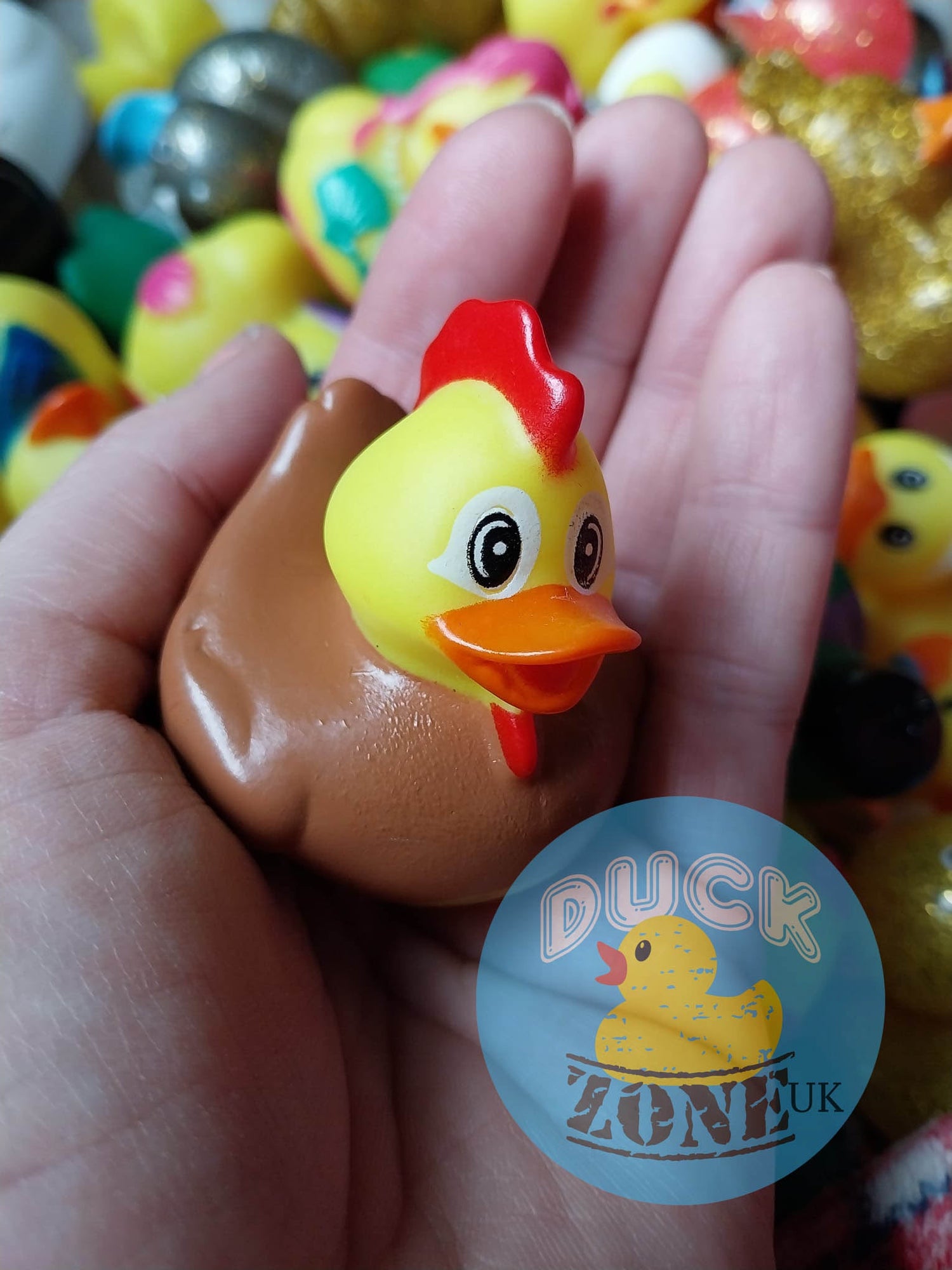 Farmyard Ducks