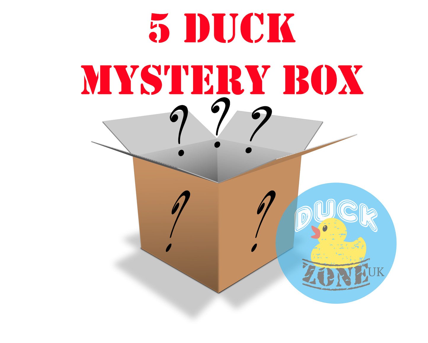 5 Duck Mystery Box!